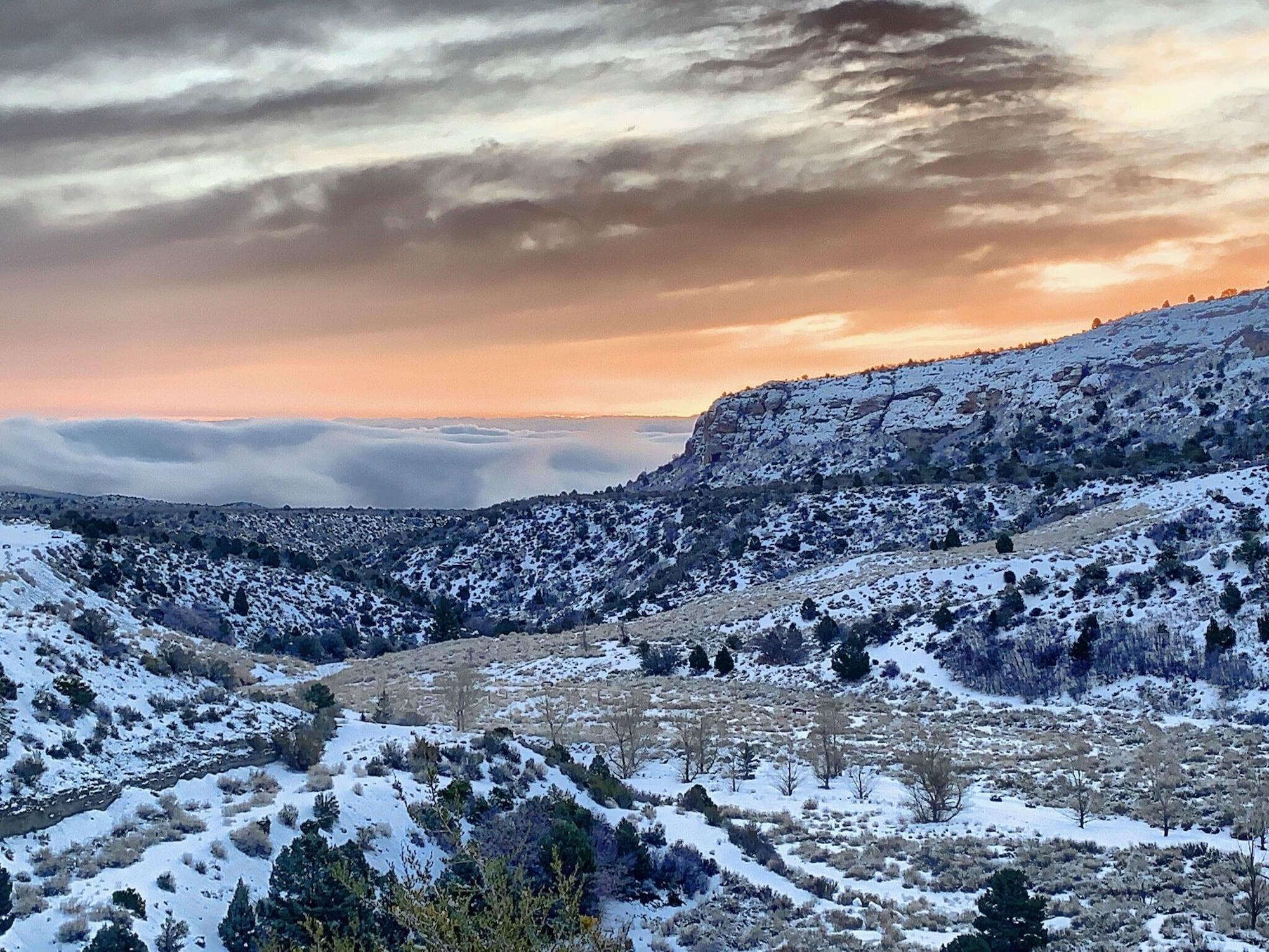 ザ リゾート オン マウント チャールストン Mount Charleston エクステリア 写真